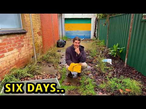 He Almost Said NO To This Free Yard Makeover... Now I Know Why!