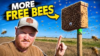 It’s Finally Swarm Season!!