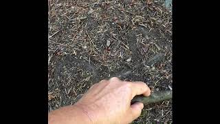 Zero point field and energy