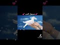 مرسول الحب رائعة عبد الوهاب الدكالي