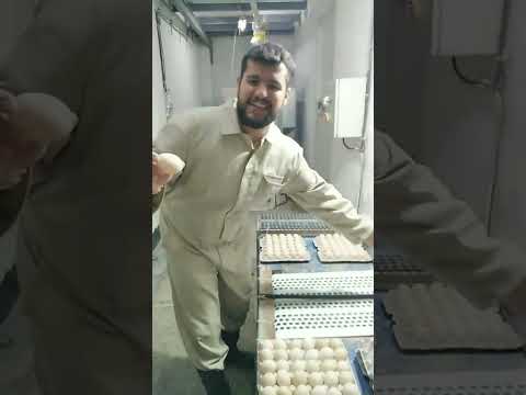 اشتركو فضلا حتى نصل 100