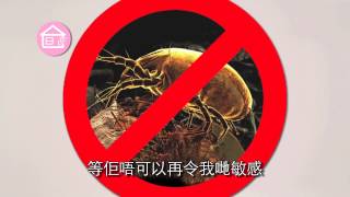 2014 15 sec AB Cleanik TVC MiteOut