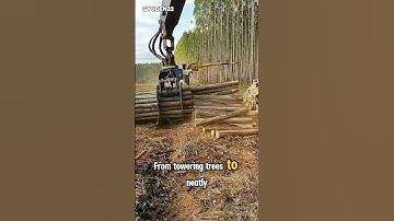 Look! This Crazy Machine Cuts Wood Like Butter! 🚜🔥 #Shorts #viralvideo #viralshorts #viralreels #fyp