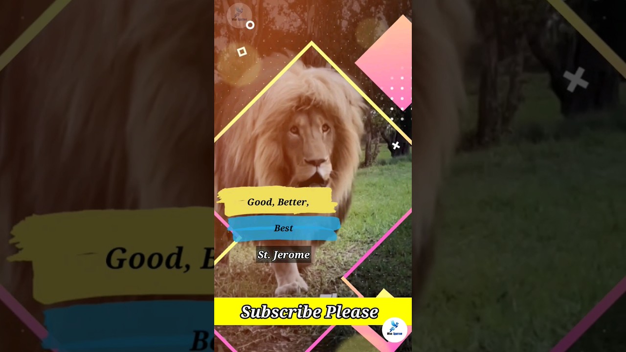 St. Jerome quotes || Motivational Quotes 