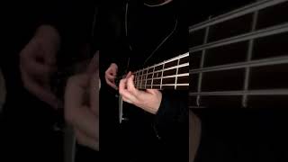 Velvet Revolver - Slither (Bass Guitar Cover)