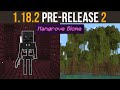 Minecraft 1.18.2 Pre-Release 2 - Mangrove Biome Preview!