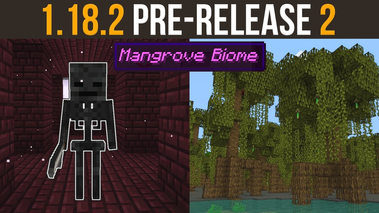 ทรืำแพฟดะใืำะ  2022 Update  Minecraft 1.18.2 Pre-Release 2 - Mangrove Biome Preview!