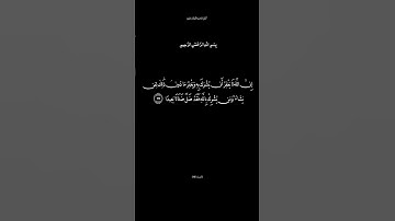 سورة النساء الآية 116 القارئ ماهر المعيقلي #تذكير_بالله_عز_و_جل #الدال_على_خير_كفاعله