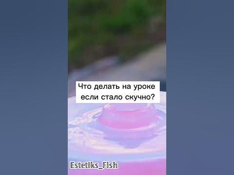 Что делать если стало скучно на уроке?🐬 #shorts - YouTube
