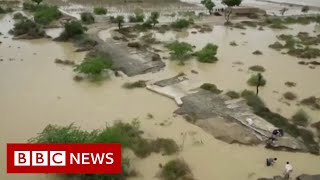 Pakistan flood victims struggle to access food and water as death toll rises - BBC News
