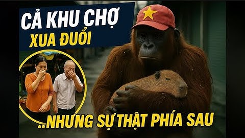 Bị Cả Khu Chợ Xua Đuổi Vì Quá Bẩn…Sự Thật Khiến Ai Cũng Bật Khóc