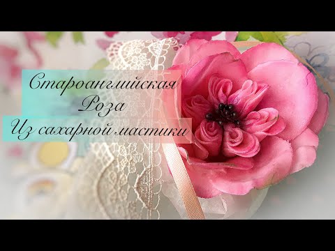 Відео