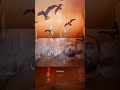 جديد محمد الحلفي سيد الحنان