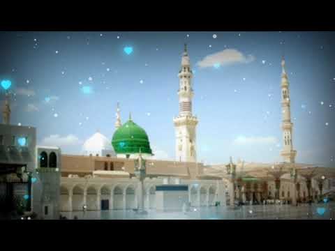Ye kehti thi ghar ghar ja kar Haleema || female naat status