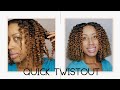 How To | Single Twist Out | Wet Natural Hair | Curls