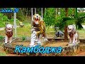 Камбоджа,эскиз 29