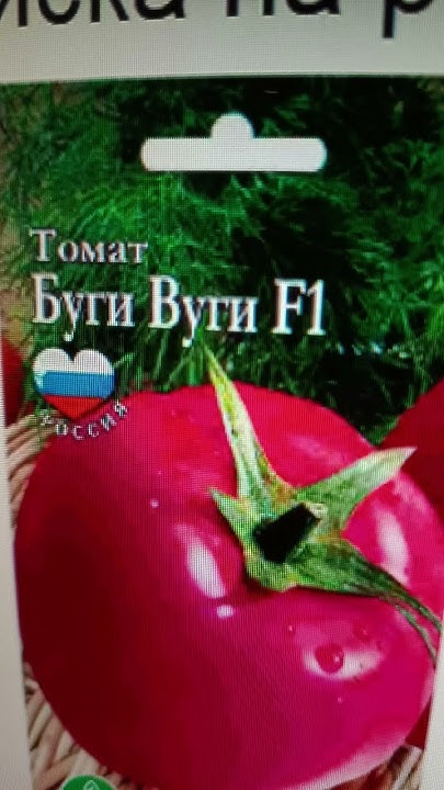 Самый лучший томат в мире 2025 г.! Высокоурожайный, вкусный и сладкий ...
