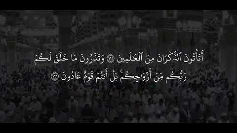 صلاة الفجر للقارئ الشيخ احمد الحذيفي ، ٢٣ ربيع الآخر ١٤٤٧هـ.