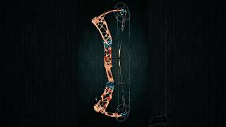 Elite Varos America 250 Declaration of Independence Bow!! #elite #america250 #Archery #elitearchery