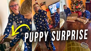 Lady Surprise Her Kids With a Puppy That They’ve Been Wanting for a Long Time