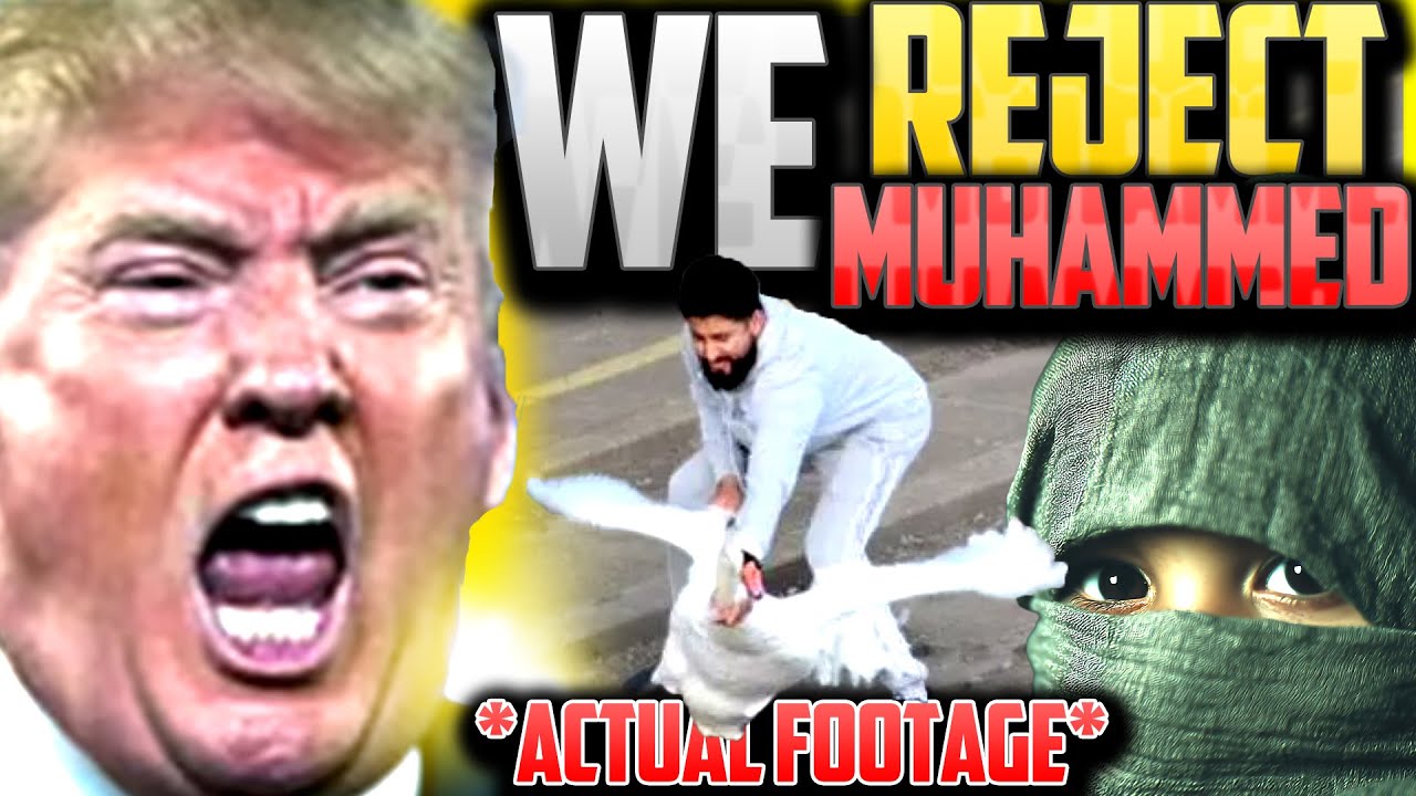 Ислам, Трамп и поедание лебедей: клип, который должен посмотреть каждый британец