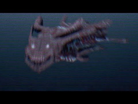AMBERSKULL - Ep 3 Ocean