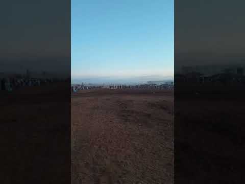 الخير يأتي على نواصي الخيل وعدة أولاد فارس