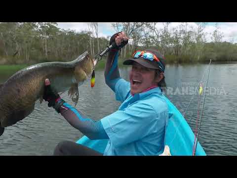 MANCING MANIA |