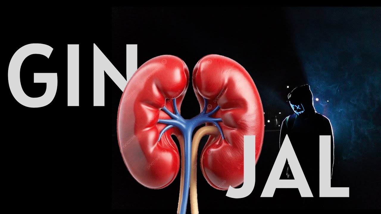 Minum Air Putih Sebelum Ginjal Kiamat !!