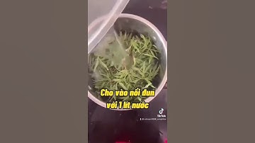 TRỊ TẮC TIA SỮA SAU 2H ĐỒNG HỒ VỚI LÁ ĐINH LĂNG #meovat #songkhoe