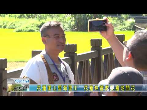 20191124 2 花蓮里山里海里川花蓮林管處要遍地開花