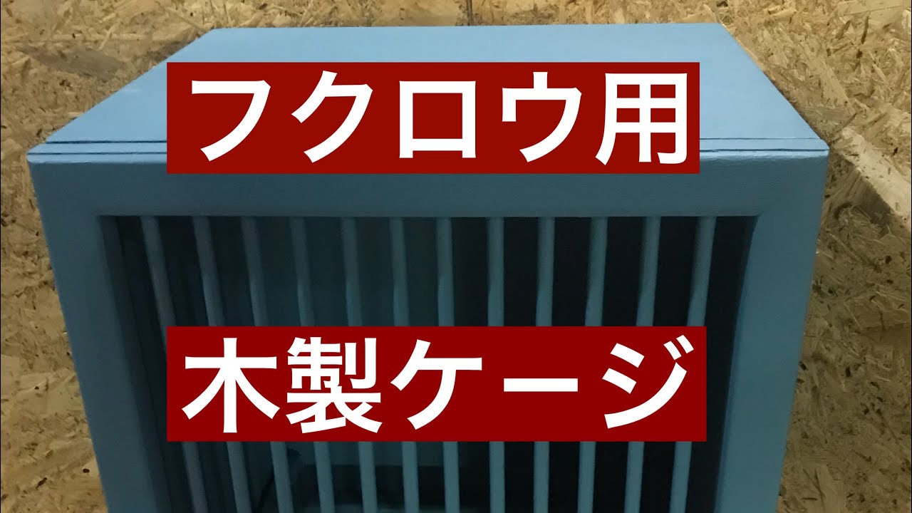 Diy フクロウ用木製ケージ 小型種 中型種に フクロウ用木製ケージ Owl ふくろうカフェ楽園 Youtube
