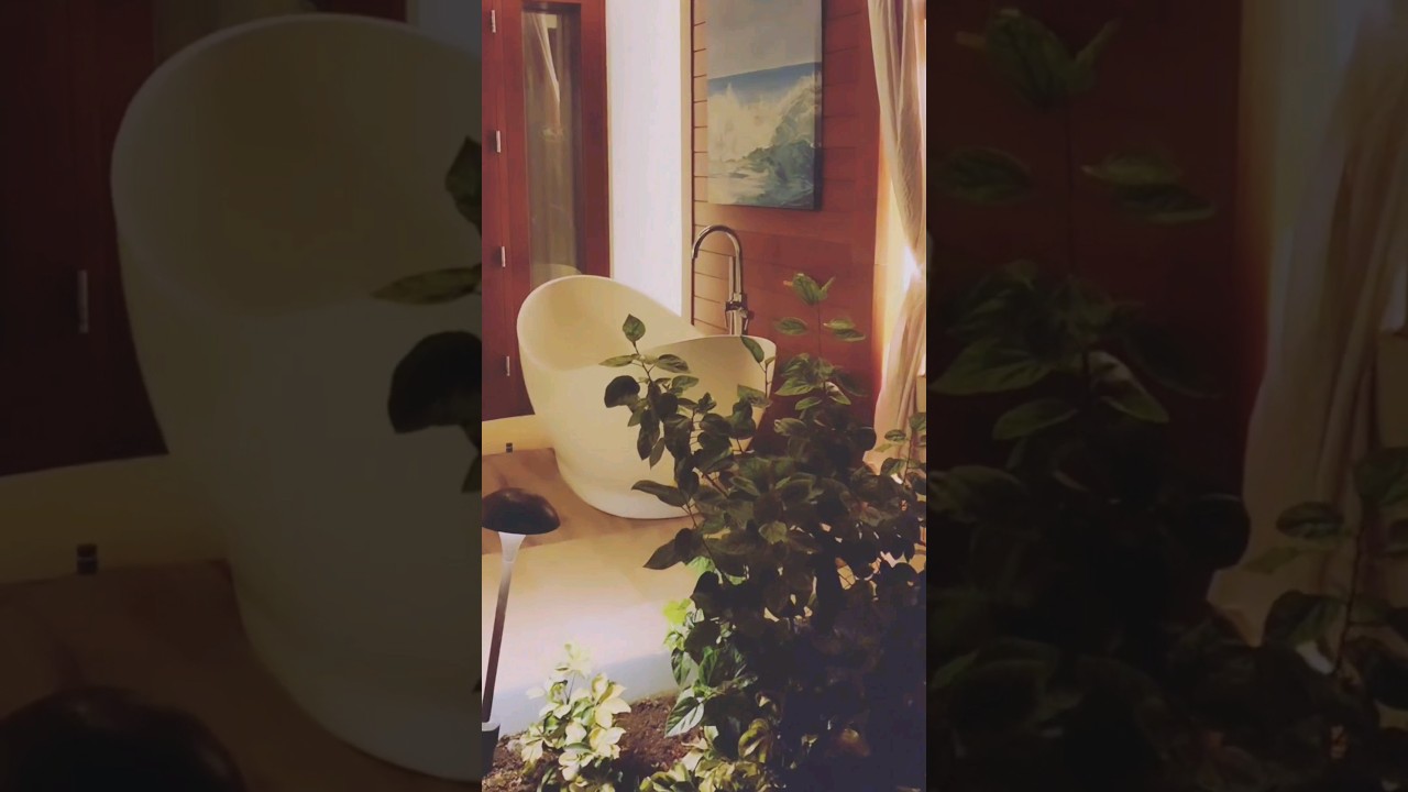 One wicked ALL-INCLUSIVE brand of resort's✨️  