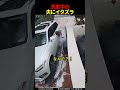 洗車中の夫にイタズラ #shorts