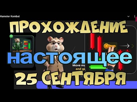 Прохождение Мини-игры в Hamster Kombat. Выпуск 25 сентября