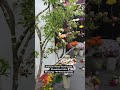 Artificial green plants, and Artificial flowers bunche Artificial flowers creeper #artificialflower