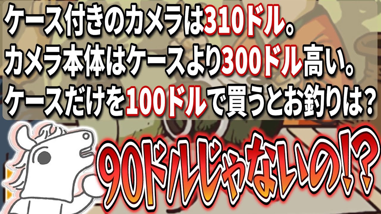 レイトン カメラ と ケース