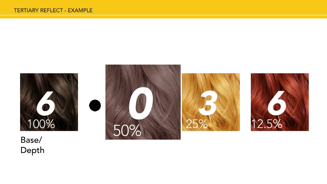 Hair Colour Numbering System