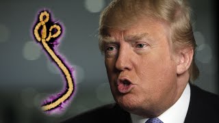 Donald Trump Says Ebola Doctors 'Must Suffer The Consequences'
