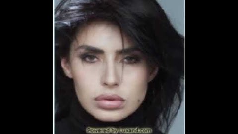 How to Make Videos With FaceMorpher