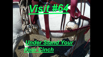 Visit #64 ...Understanding the use of a saddles rear cinch!