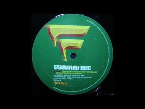 Tsunami One — Tsunami One - Dawn Of The Standing Wave
