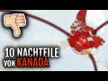 Auswandern Kanada 10 Grösste Nachteile