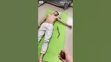 Wait for twist! 🐍🐍🐍     | snake prank | #prankvideos #comedyreels #prank #snake