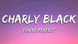 Charly Black - You're Perfect (Lyrics) | perfect body with a perfect smile (slowed) (tiktok remix)