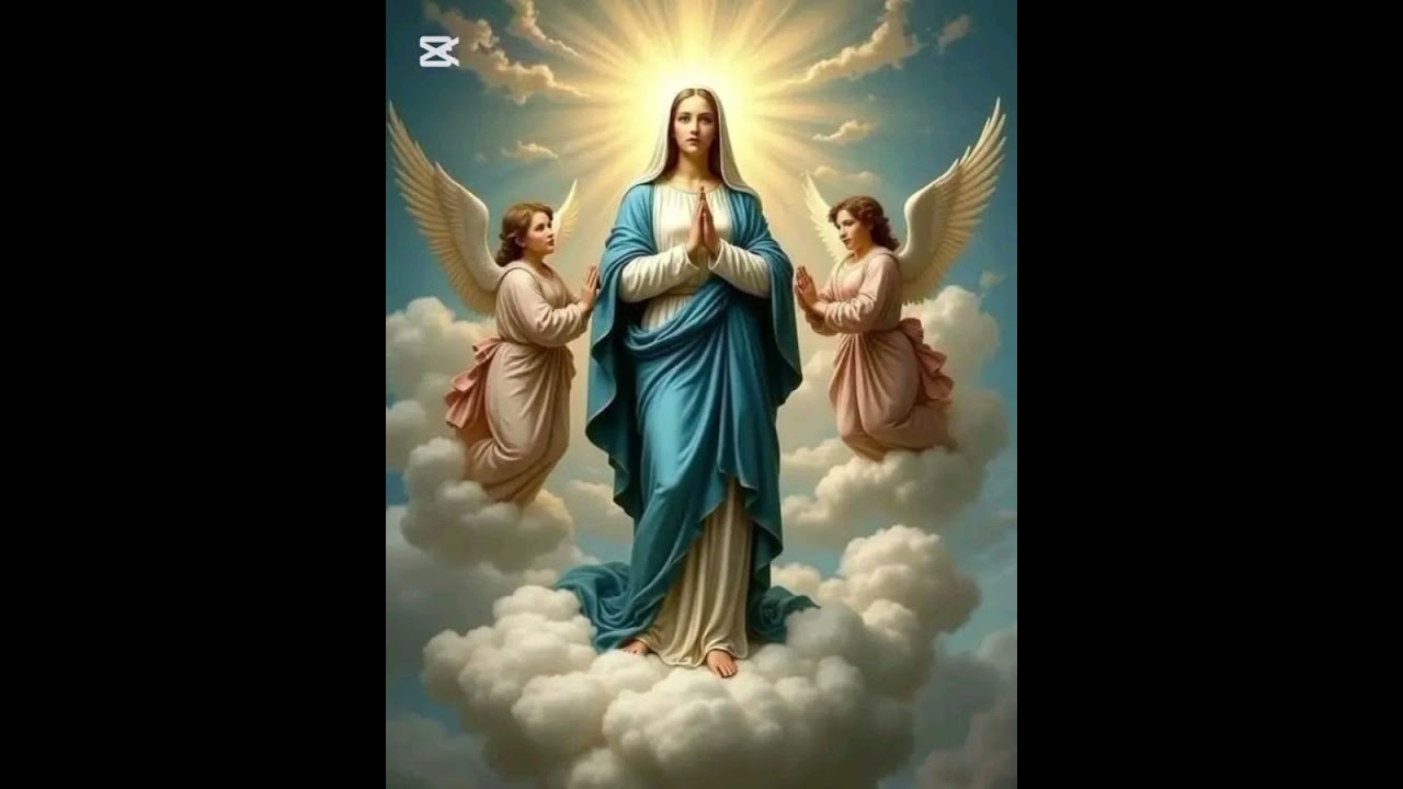 my take on Vatican's recent stance on the Marian titles: Co-redemptrix and Mediatrix of All Graces