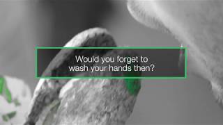 Hand hygiene - What if bacteria were green