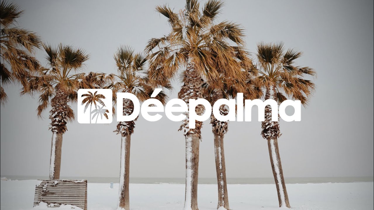 Darksidevinyl & Ian Ludvig - Elle [Déepalma Records]