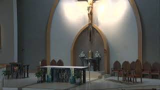 9:15 AM Tuesday Daily Mass July 7, 2026