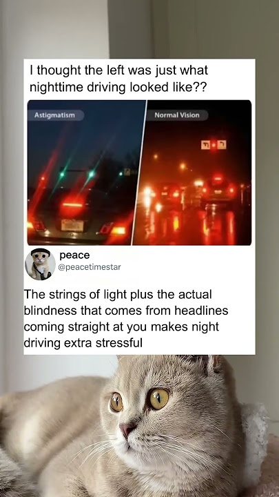 Is this how nighttime driving should look?